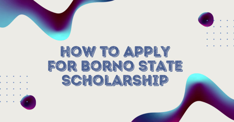 How to Apply for Borno State Scholarship