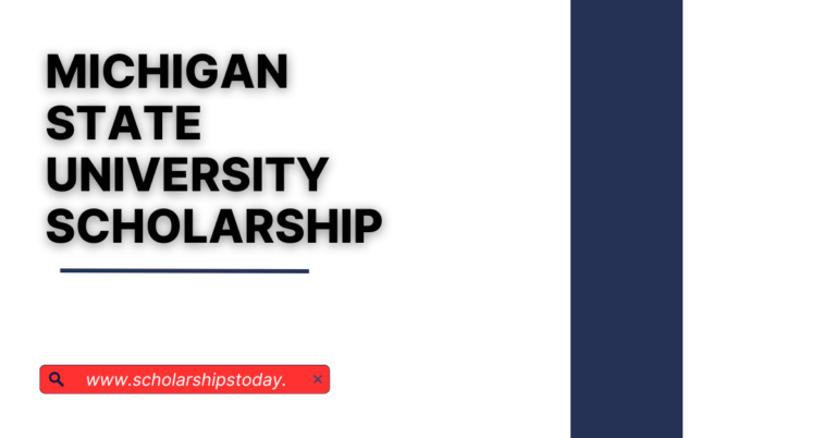 How to apply for Michigan State University Scholarship