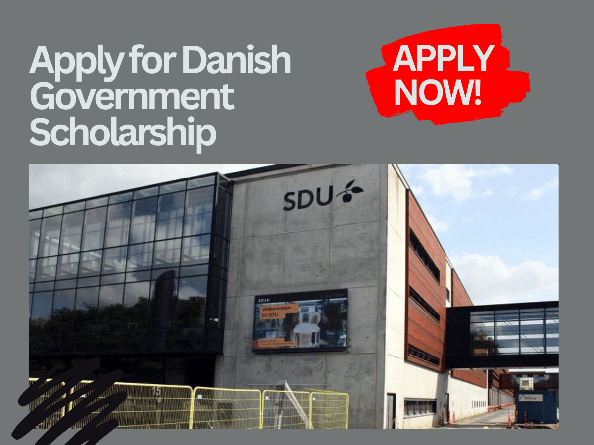 How to Apply for Danish Government Scholarship